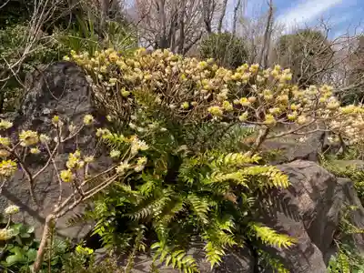 常泉寺(神奈川県)