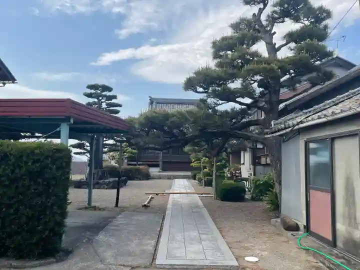 空善寺の{uncategorized: "未分類", other: "その他", undefined: "問題あり", building: "その他建物", grave: "お墓", sacred_gate: "鳥居", guardian: "狛犬", statue: "像", buddha: "仏像", history: "歴史", nature: "自然", garden: "庭園", animal: "動物", pagoda: "塔", temizu: "手水舎", mountain_gate: "山門・神門", sanctuary: "本殿・本堂", subordinate: "末社・摂社", art: "芸術", scenery: "景色", jizo: "地蔵", ema: "絵馬", goshuin: "御朱印", omikuji: "おみくじ", items: "授与品その他", amulet: "お守り", goshuincho: "御朱印帳", eats: "食事", festival: "お祭り", votive_dance: "神楽", shichigosan: "七五三参", wedding: "結婚式", experience: "体験その他", initially: "初詣", around: "周辺", anti_infection: "感染症対策"}