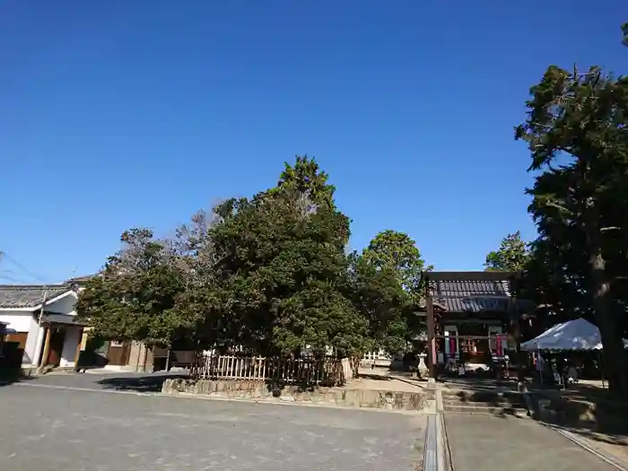 神服神社の建物その他