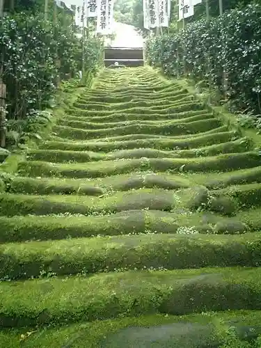 杉本寺のその他建物