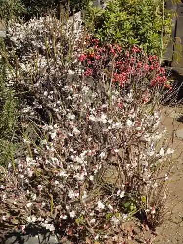 一乗寺(東京都)
