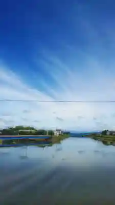 白山社(井堀)の景色