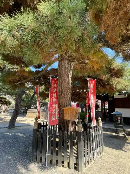 葛井寺(大阪府)