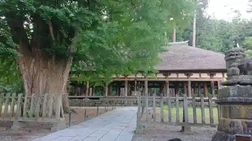 新宮熊野神社のその他建物