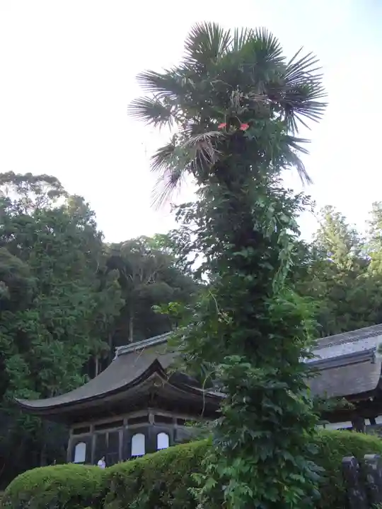 天恩寺(愛知県)