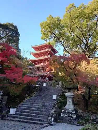 竹林寺の景色