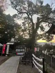 北澤八幡神社の建物その他