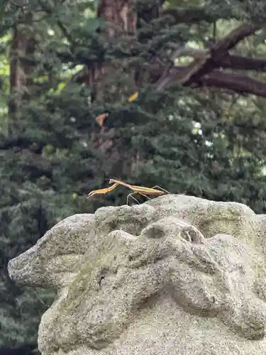 角田神社(北海道)