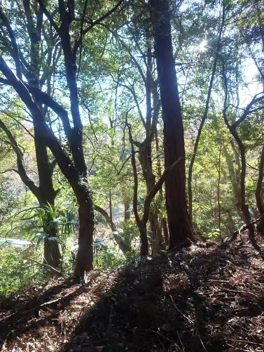 石楯尾神社(神奈川県)