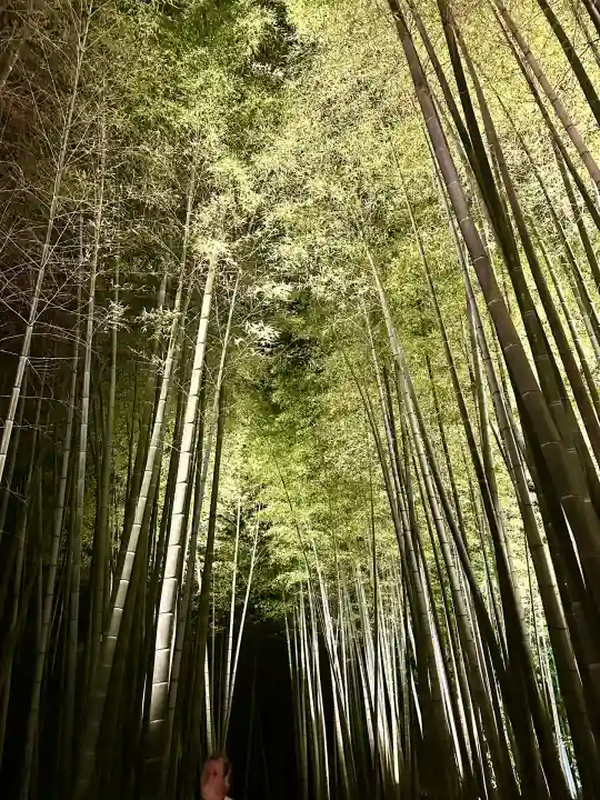 高台寺(高台寿聖禅寺・高臺寺)(京都府)