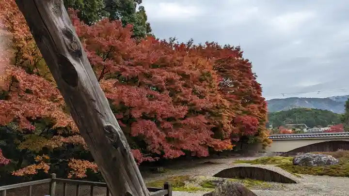 実相院門跡の景色