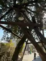 荏柄天神社の{uncategorized: "未分類", other: "その他", undefined: "問題あり", building: "その他建物", grave: "お墓", sacred_gate: "鳥居", guardian: "狛犬", statue: "像", buddha: "仏像", history: "歴史", nature: "自然", garden: "庭園", animal: "動物", pagoda: "塔", temizu: "手水舎", mountain_gate: "山門・神門", sanctuary: "本殿・本堂", subordinate: "末社・摂社", art: "芸術", scenery: "景色", jizo: "地蔵", ema: "絵馬", goshuin: "御朱印", omikuji: "おみくじ", items: "授与品その他", amulet: "お守り", goshuincho: "御朱印帳", eats: "食事", festival: "お祭り", votive_dance: "神楽", shichigosan: "七五三参", wedding: "結婚式", experience: "体験その他", initially: "初詣", around: "周辺", anti_infection: "感染症対策"}