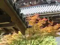 光明寺(粟生光明寺)のその他建物