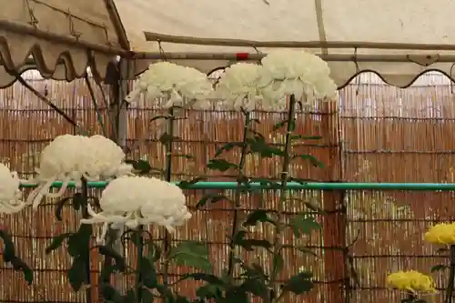 高麗神社のその他建物