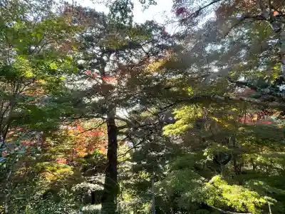 善水寺(滋賀県)