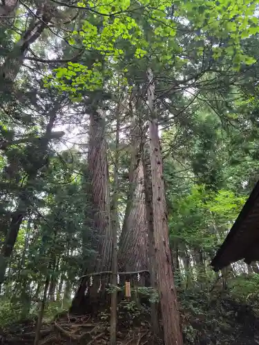 戸隠神社火之御子社(長野県)