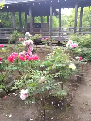 多聞院(埼玉県)