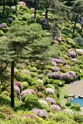 塩船観音寺(東京都)