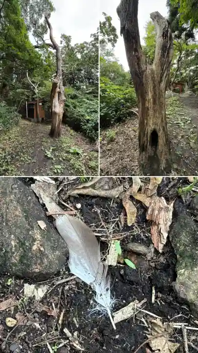 正一位石倉稲荷神社(北海道)