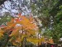 手向山八幡宮(奈良県)