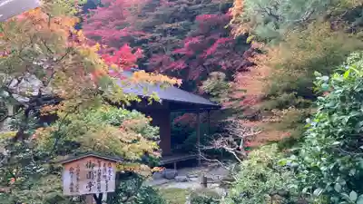 二尊院(京都府)