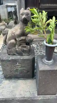 榎稲荷神社の狛犬