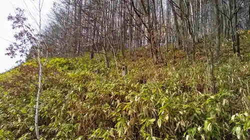 明治稲荷神社跡の周辺