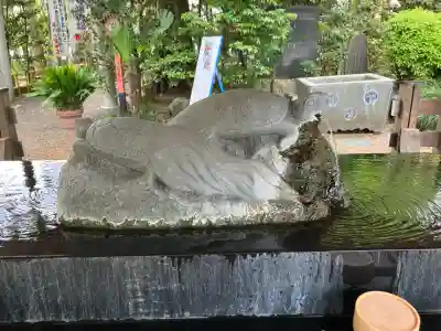 亀ケ池八幡宮の{uncategorized: "未分類", other: "その他", undefined: "問題あり", building: "その他建物", grave: "お墓", sacred_gate: "鳥居", guardian: "狛犬", statue: "像", buddha: "仏像", history: "歴史", nature: "自然", garden: "庭園", animal: "動物", pagoda: "塔", temizu: "手水舎", mountain_gate: "山門・神門", sanctuary: "本殿・本堂", subordinate: "末社・摂社", art: "芸術", scenery: "景色", jizo: "地蔵", ema: "絵馬", goshuin: "御朱印", omikuji: "おみくじ", items: "授与品その他", amulet: "お守り", goshuincho: "御朱印帳", eats: "食事", festival: "お祭り", votive_dance: "神楽", shichigosan: "七五三参", wedding: "結婚式", experience: "体験その他", initially: "初詣", around: "周辺", anti_infection: "感染症対策"}
