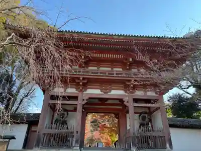 醍醐寺(京都府)