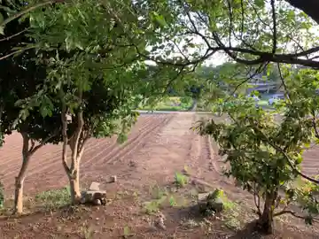 稲荷神社(千葉県)