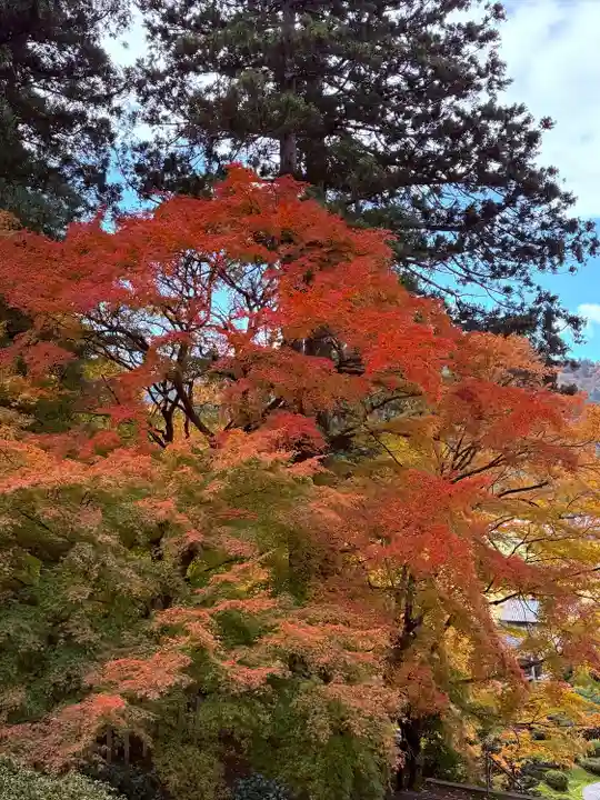 萬徳寺(福井県)