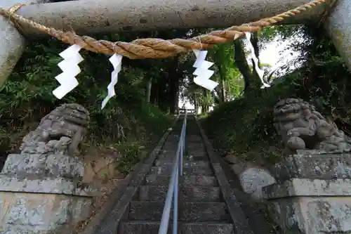 阿久津「田村神社」（郡山市阿久津町）旧社名：伊豆箱根三嶋三社の狛犬