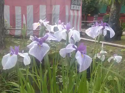 志波彦神社・鹽竈神社の自然