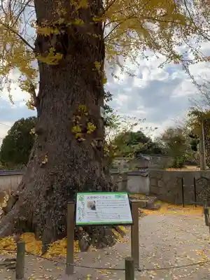 天徳寺(山口県)