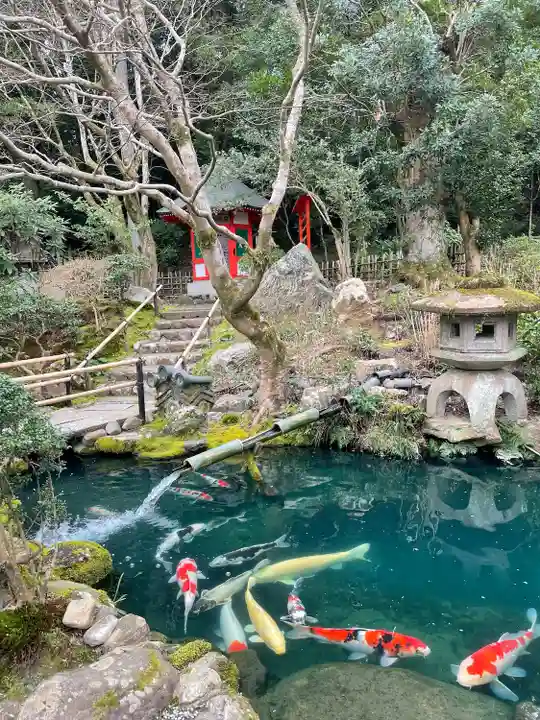 一條殿 新善光寺(京都府)