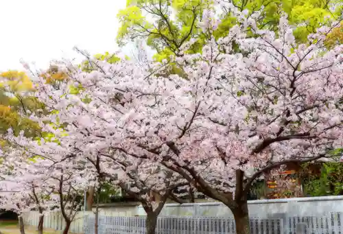 三津厳島神社の自然