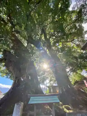 尾鷲神社(三重県)