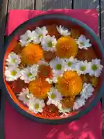 増上寺塔頭 三縁山 宝珠院の手水舎