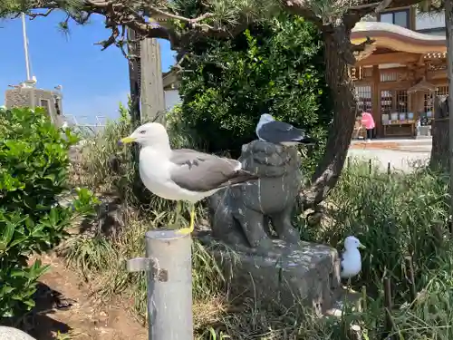 蕪嶋神社(青森県)
