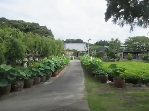 香勝寺(静岡県)