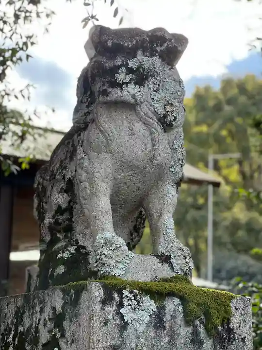松尾大社の狛犬