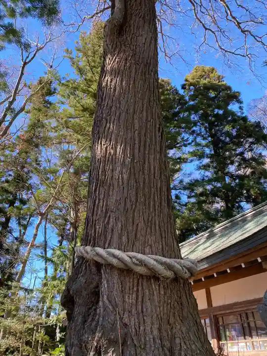 小室浅間神社(山梨県)