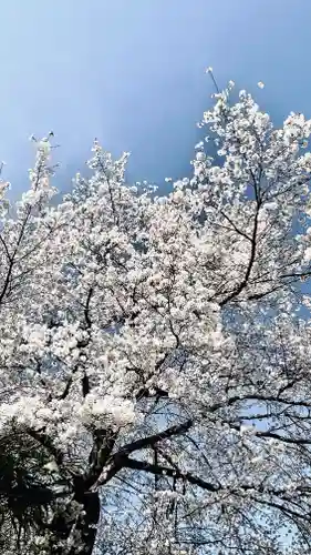 浄居寺(山梨県)