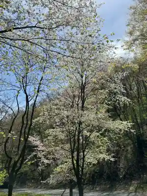 八代神明宮の{uncategorized: "未分類", other: "その他", undefined: "問題あり", building: "その他建物", grave: "お墓", sacred_gate: "鳥居", guardian: "狛犬", statue: "像", buddha: "仏像", history: "歴史", nature: "自然", garden: "庭園", animal: "動物", pagoda: "塔", temizu: "手水舎", mountain_gate: "山門・神門", sanctuary: "本殿・本堂", subordinate: "末社・摂社", art: "芸術", scenery: "景色", jizo: "地蔵", ema: "絵馬", goshuin: "御朱印", omikuji: "おみくじ", items: "授与品その他", amulet: "お守り", goshuincho: "御朱印帳", eats: "食事", festival: "お祭り", votive_dance: "神楽", shichigosan: "七五三参", wedding: "結婚式", experience: "体験その他", initially: "初詣", around: "周辺", anti_infection: "感染症対策"}
