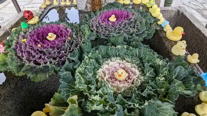 くろ谷 金戒光明寺(京都府)