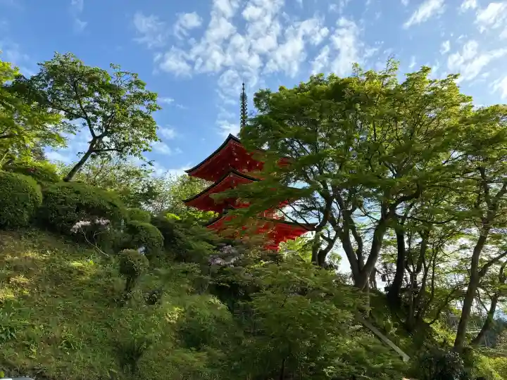岡寺(龍蓋寺)の{uncategorized: "未分類", other: "その他", undefined: "問題あり", building: "その他建物", grave: "お墓", sacred_gate: "鳥居", guardian: "狛犬", statue: "像", buddha: "仏像", history: "歴史", nature: "自然", garden: "庭園", animal: "動物", pagoda: "塔", temizu: "手水舎", mountain_gate: "山門・神門", sanctuary: "本殿・本堂", subordinate: "末社・摂社", art: "芸術", scenery: "景色", jizo: "地蔵", ema: "絵馬", goshuin: "御朱印", omikuji: "おみくじ", items: "授与品その他", amulet: "お守り", goshuincho: "御朱印帳", eats: "食事", festival: "お祭り", votive_dance: "神楽", shichigosan: "七五三参", wedding: "結婚式", experience: "体験その他", initially: "初詣", around: "周辺", anti_infection: "感染症対策"}
