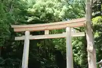 明治神宮(東京都)