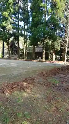 十島菅原神社の自然