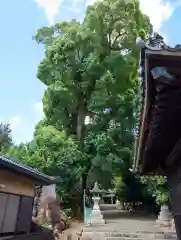 細江神社(静岡県)