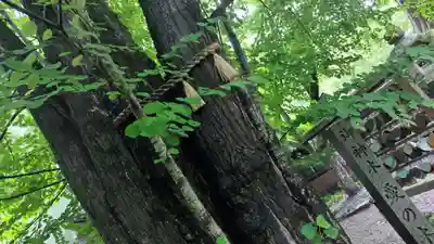 梨木神社(京都府)